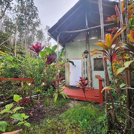 Cabin 2-Rustic Private Stay Near Volcano National Park Fern Forest Kültér fotó