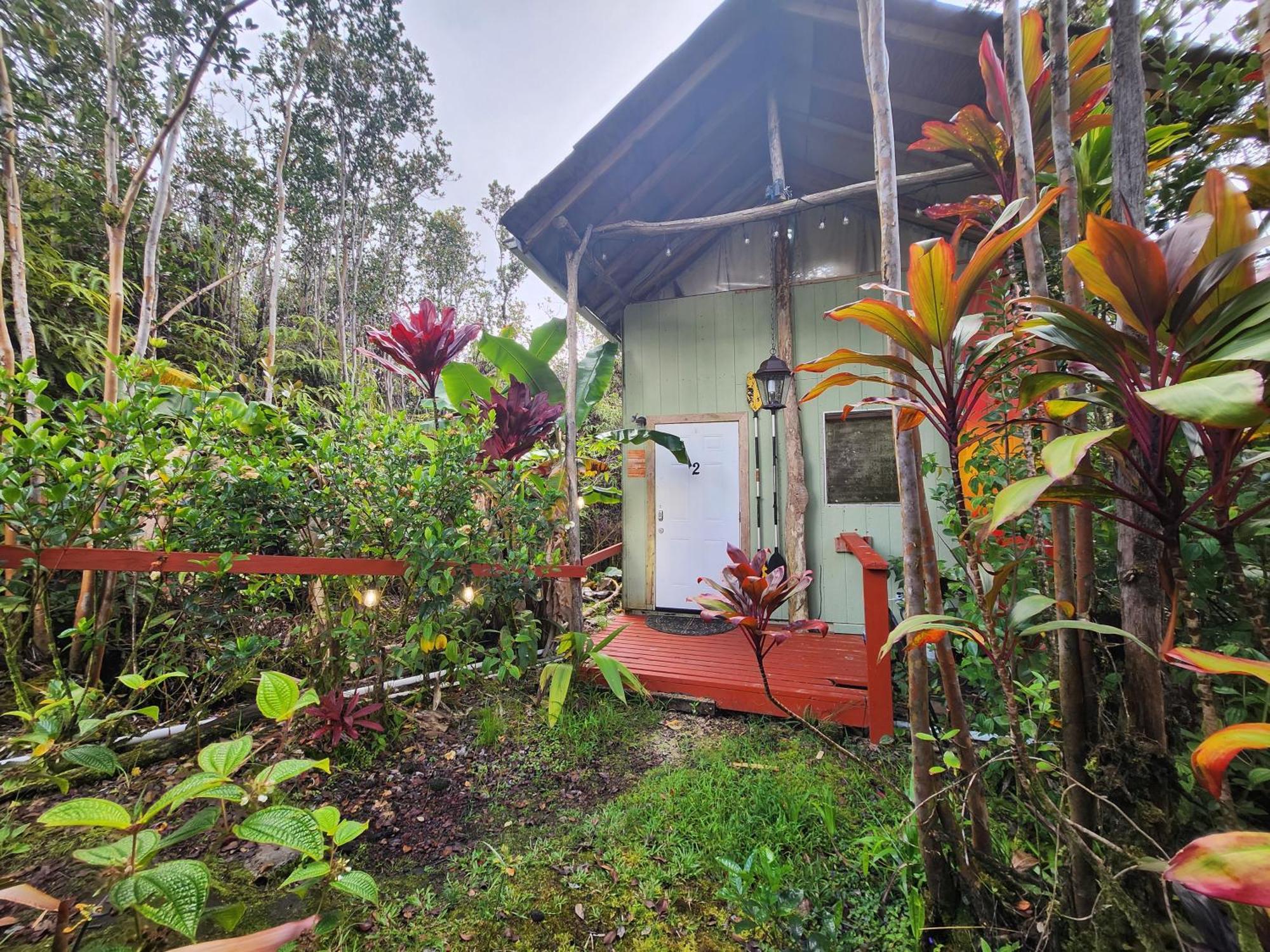 Cabin 2-Rustic Private Stay Near Volcano National Park Fern Forest Kültér fotó
